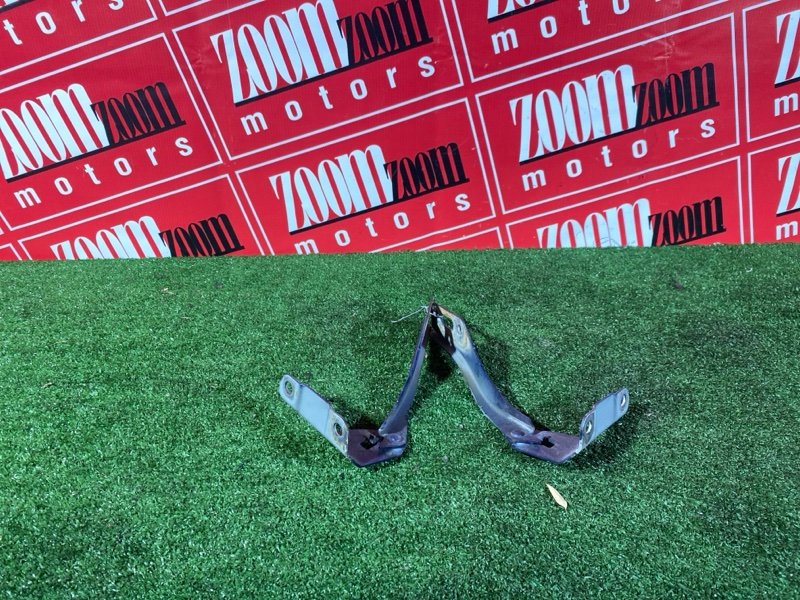 Петля (Шарнир капота), 500 рублей, Солонцы