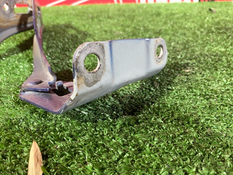 Петля (Шарнир капота), 500 рублей, Солонцы