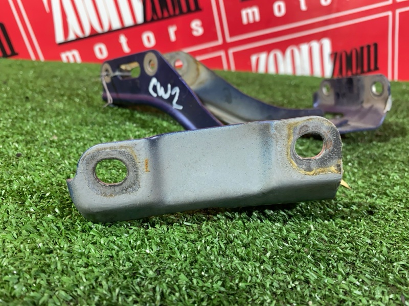 Петля (Шарнир капота), 500 рублей, Солонцы