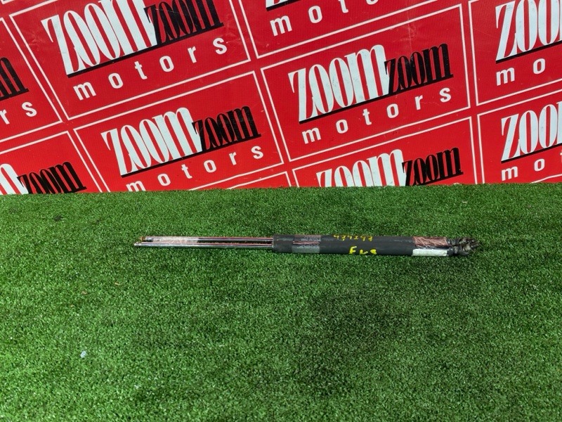 Амортизатор багажника, 1200 рублей, Солонцы