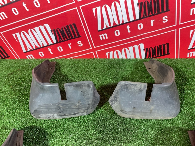 Брызговик, 1000 рублей, Солонцы