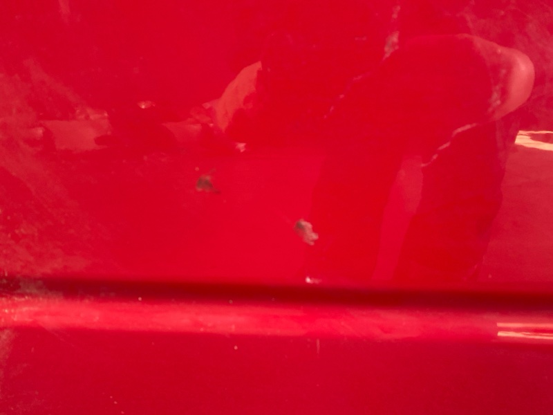 Дверь боковая, 7900 рублей, Красноярск