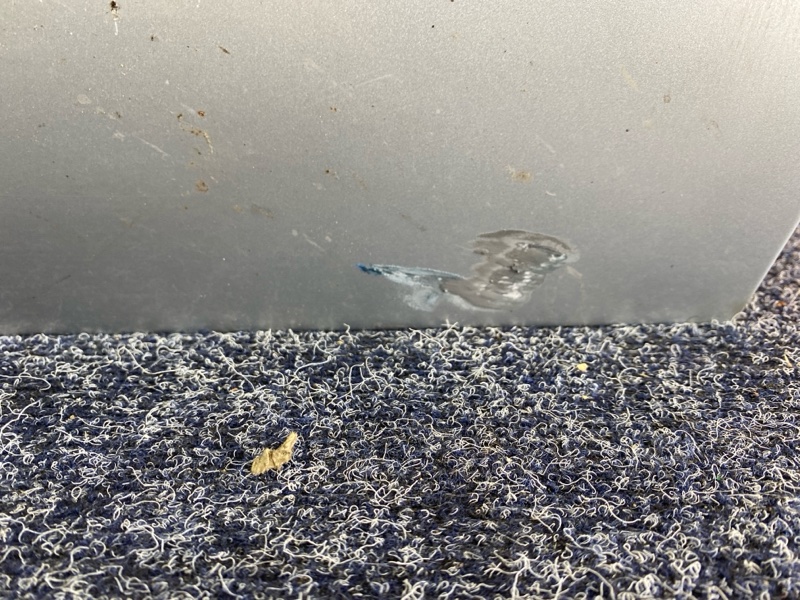 Дверь боковая, 7600 рублей, Красноярск