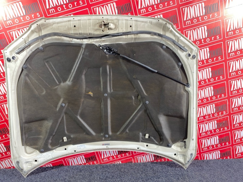 Капот, 10000 рублей, Солонцы