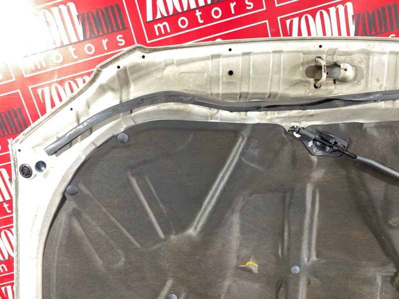 Капот, 10000 рублей, Солонцы