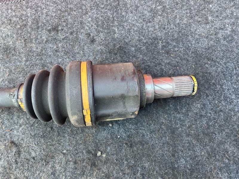 Привод, 1900 рублей, Солонцы