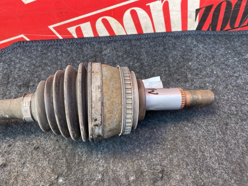 Привод, 5000 рублей, Солонцы