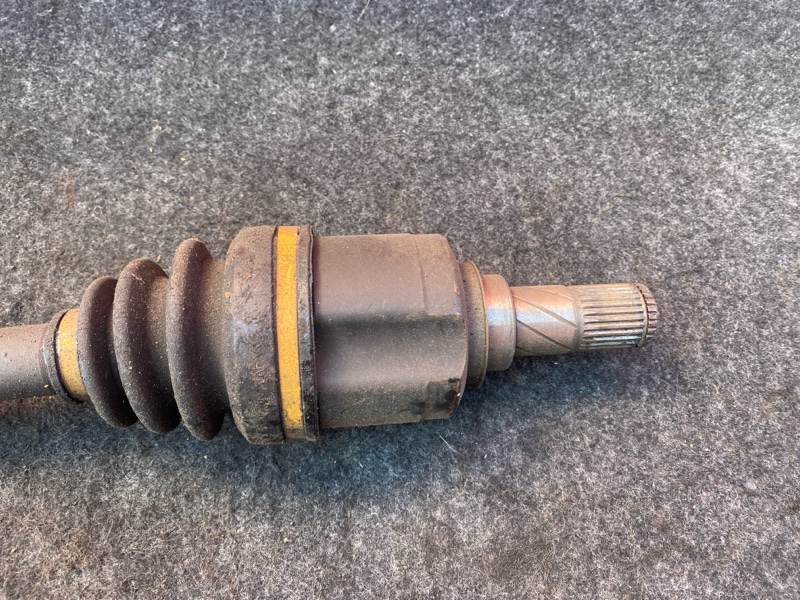 Привод, 1900 рублей, Солонцы