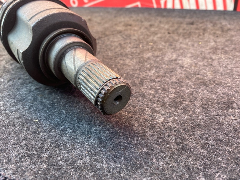 Привод, 1900 рублей, Солонцы