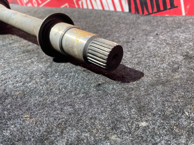 Привод, 5000 рублей, Солонцы