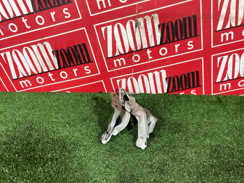 Петля (Шарнир капота), 900 рублей, Солонцы