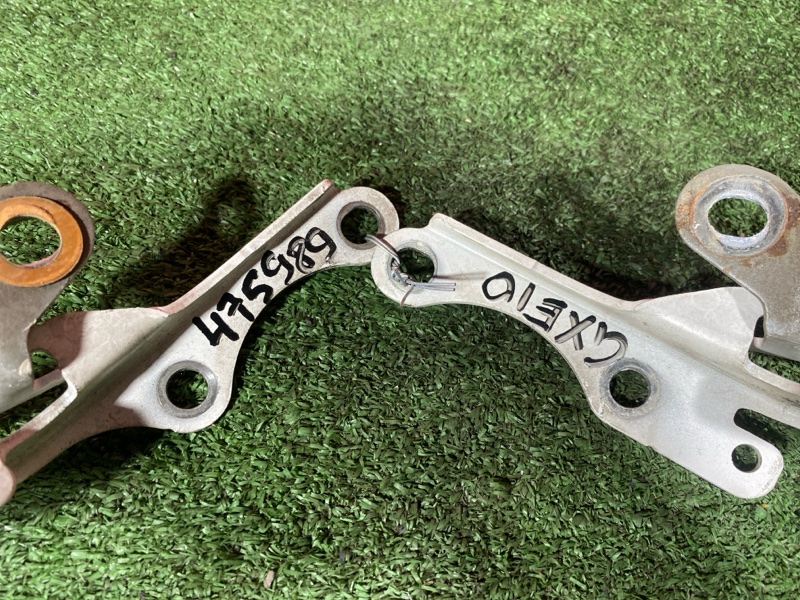 Петля (Шарнир капота), 900 рублей, Солонцы