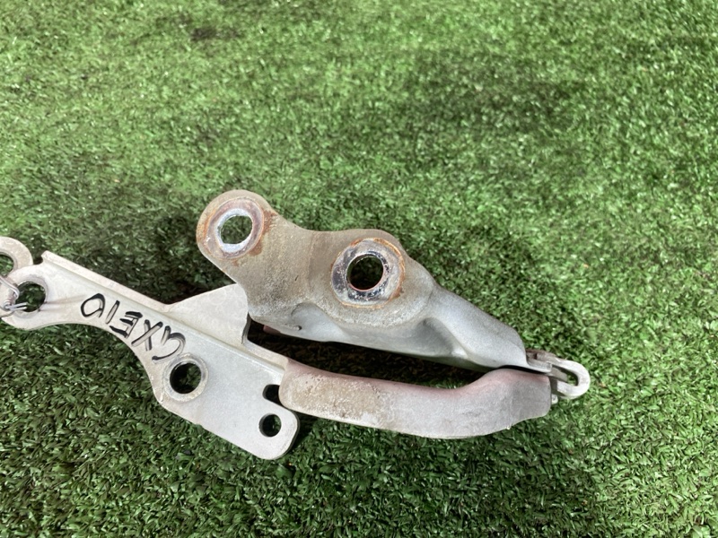 Петля (Шарнир капота), 900 рублей, Солонцы