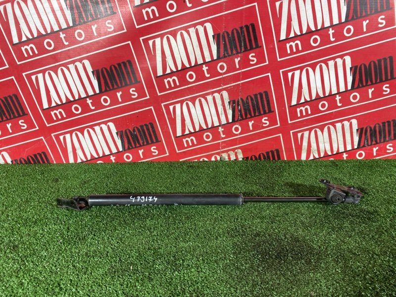 Амортизатор багажника, 1000 рублей, Солонцы