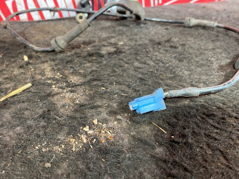 Датчик ABS, 800 рублей, Солонцы