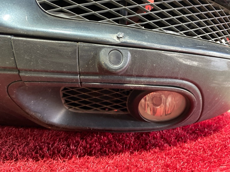 Nose cut, 131000 рублей, Солонцы