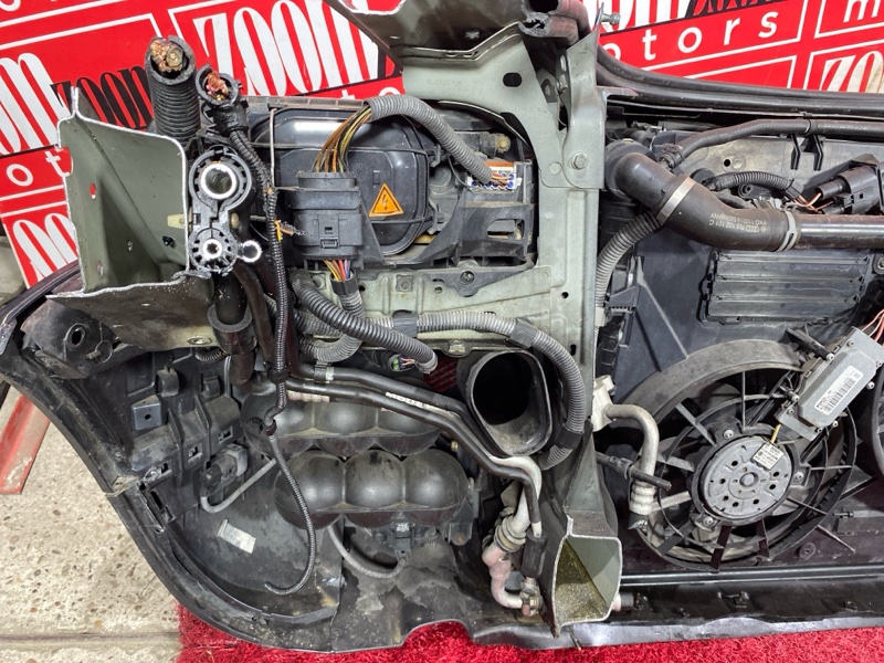 Nose cut, 131000 рублей, Солонцы