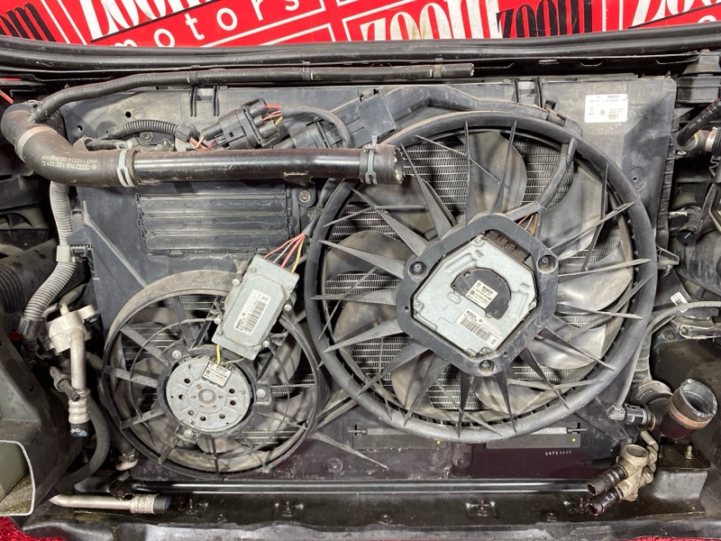 Nose cut, 131000 рублей, Солонцы