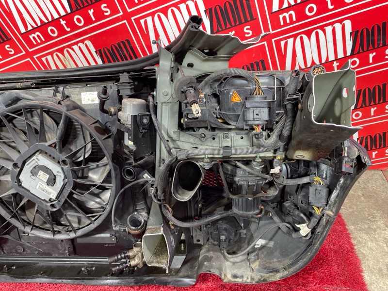 Nose cut, 131000 рублей, Солонцы