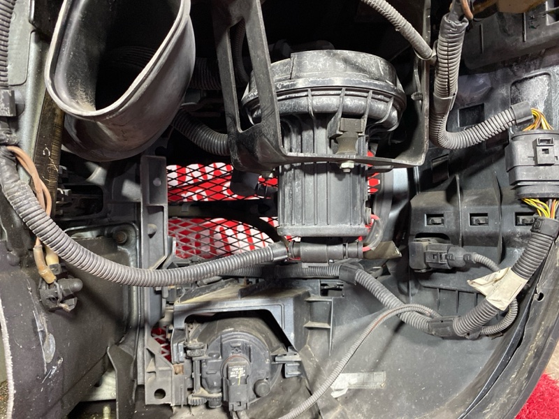 Nose cut, 131000 рублей, Солонцы