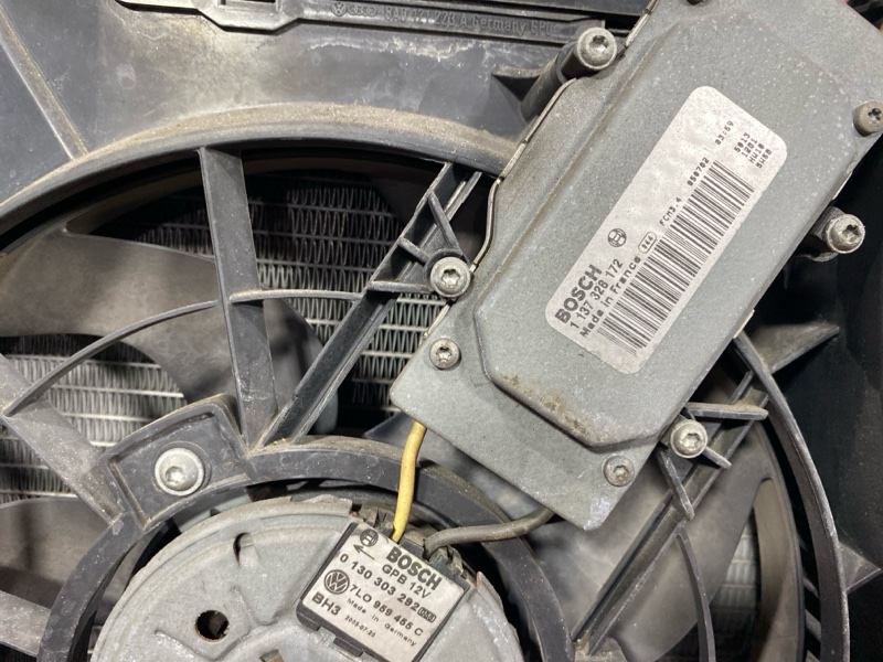 Nose cut, 131000 рублей, Солонцы