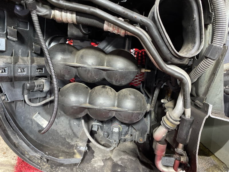 Nose cut, 131000 рублей, Солонцы