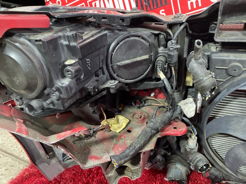 Nose cut, 48800 рублей, Солонцы