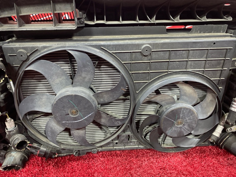 Nose cut, 48800 рублей, Солонцы