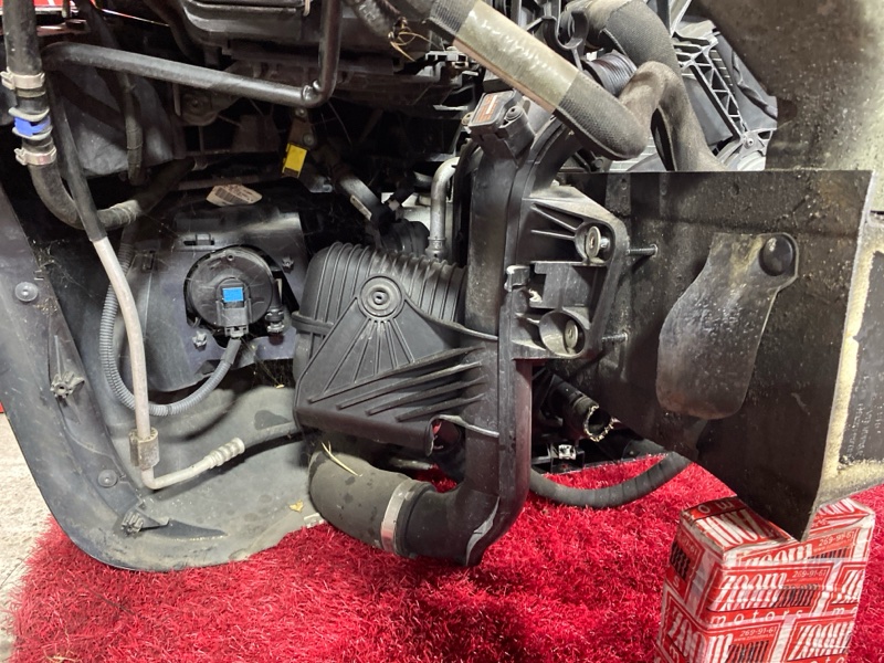 Nose cut, 150000 рублей, Солонцы