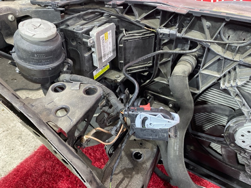 Nose cut, 150000 рублей, Солонцы