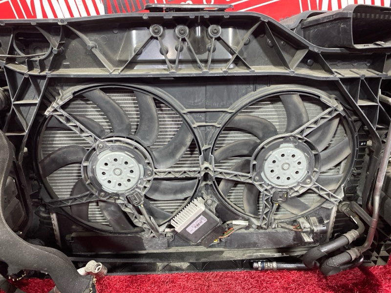 Nose cut, 150000 рублей, Солонцы