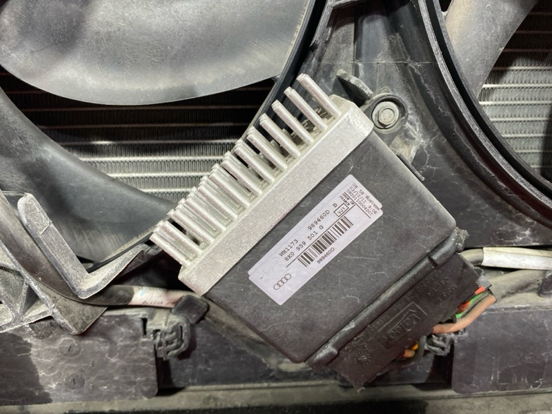 Nose cut, 150000 рублей, Солонцы