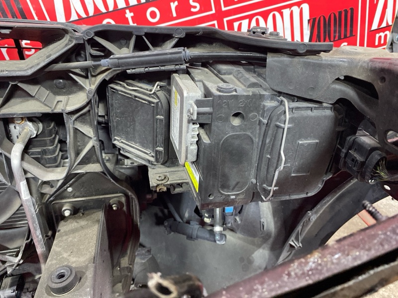 Nose cut, 150000 рублей, Солонцы