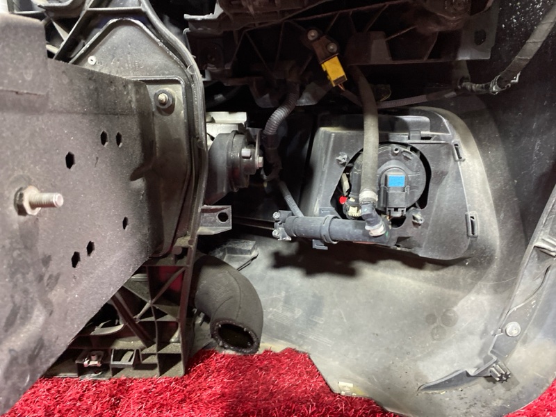 Nose cut, 150000 рублей, Солонцы