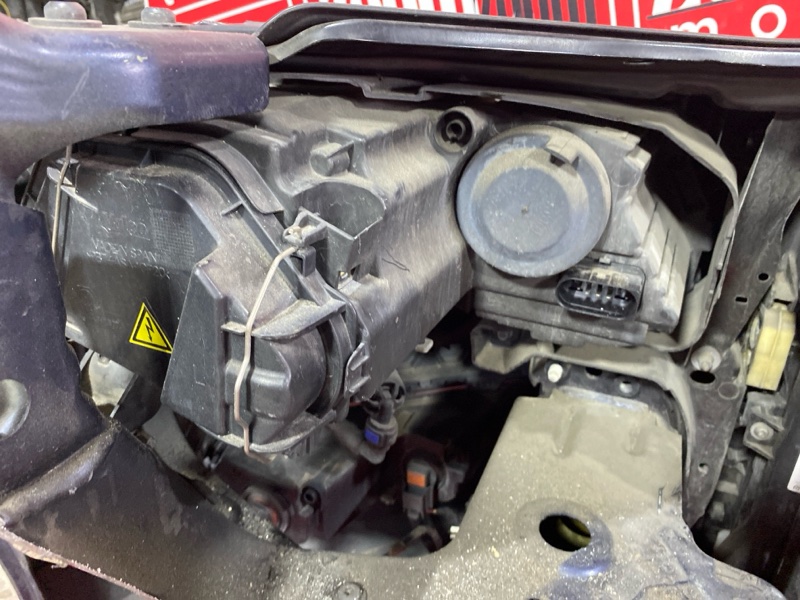 Nose cut, 135000 рублей, Солонцы