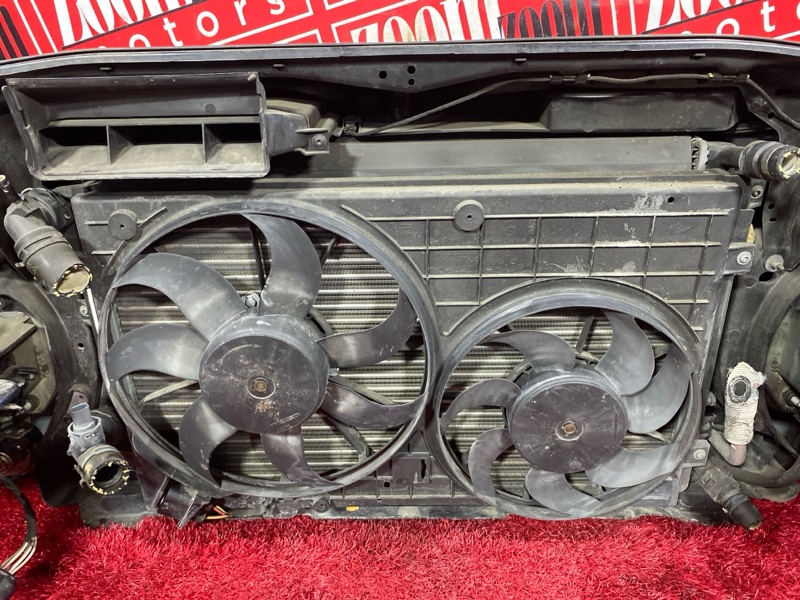 Nose cut, 135000 рублей, Солонцы