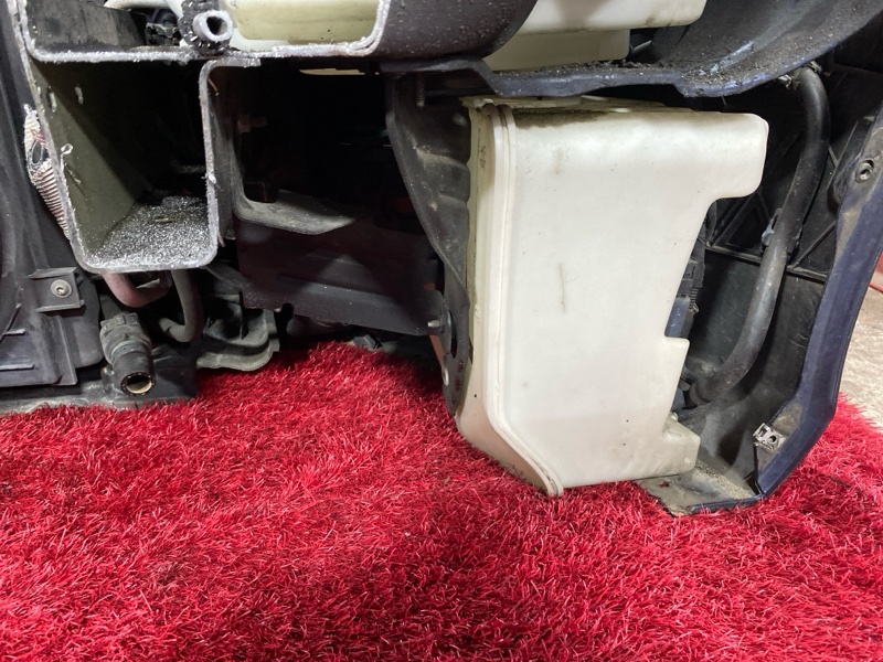 Nose cut, 135000 рублей, Солонцы