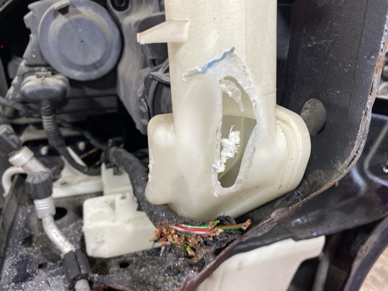 Nose cut, 135000 рублей, Солонцы