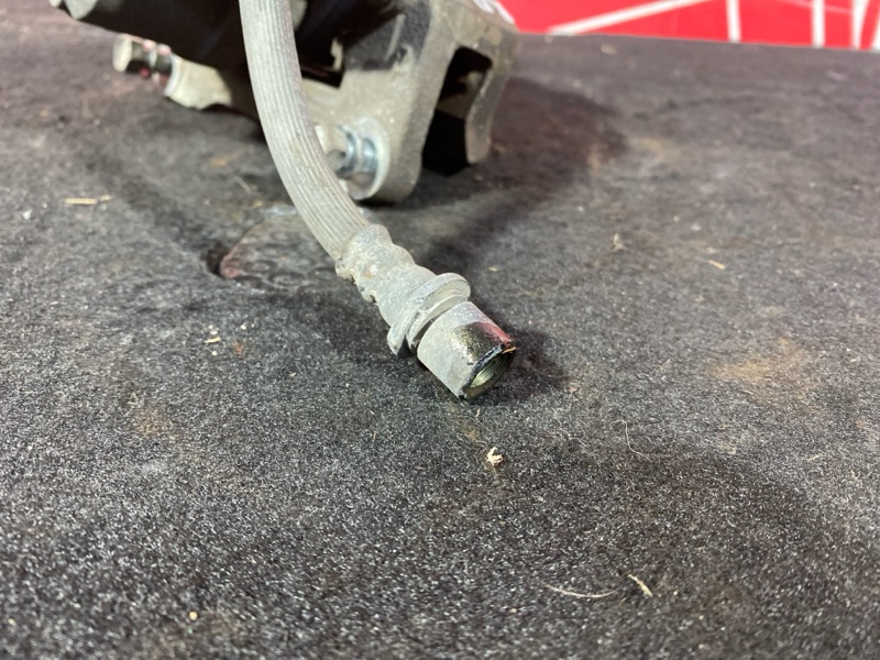 Суппорт, 1000 рублей, Солонцы