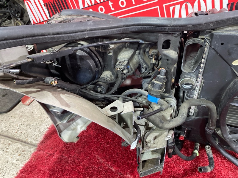 Nose cut, 72200 рублей, Солонцы