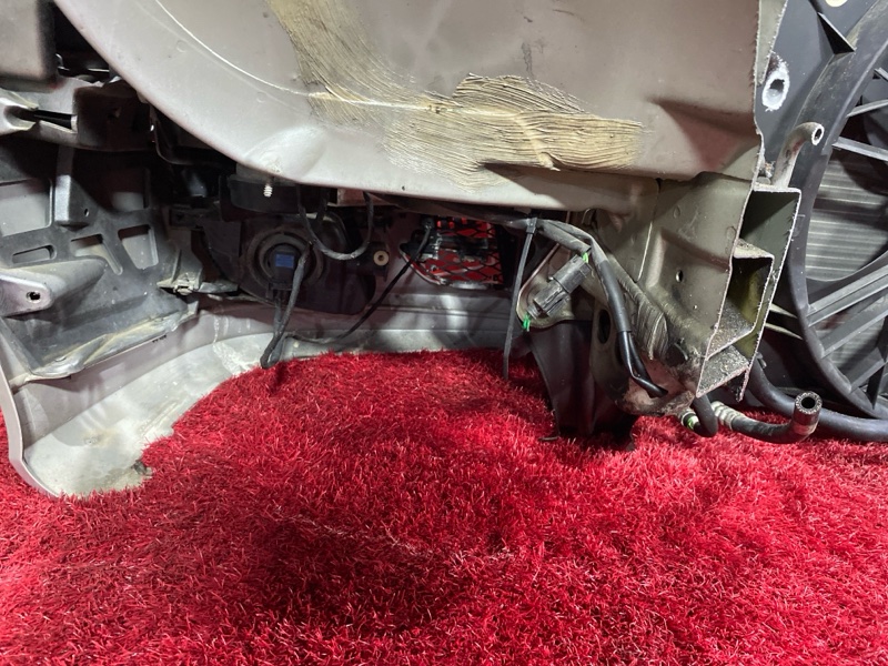 Nose cut, 72200 рублей, Солонцы