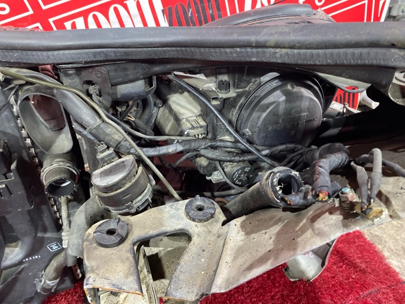 Nose cut, 72200 рублей, Солонцы