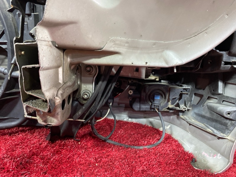 Nose cut, 72200 рублей, Солонцы