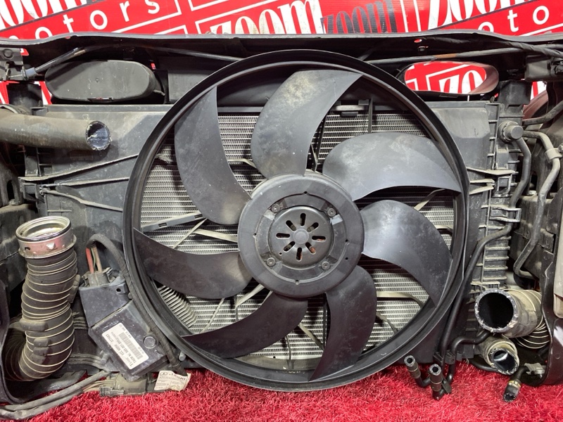 Nose cut, 47500 рублей, Солонцы