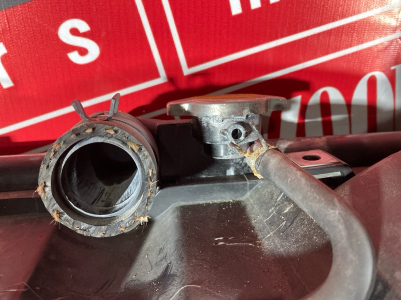 Радиатор двигателя, 5700 рублей, Красноярск