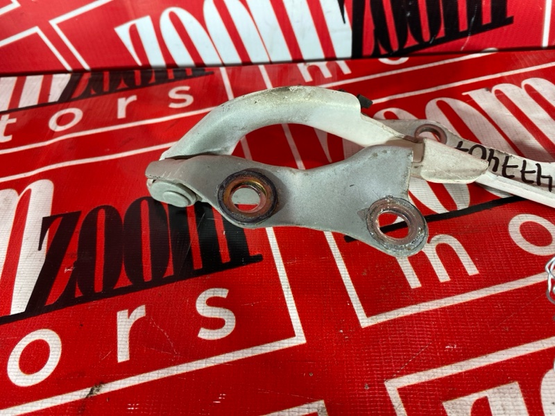 Петля (Шарнир капота), 600 рублей, Солонцы