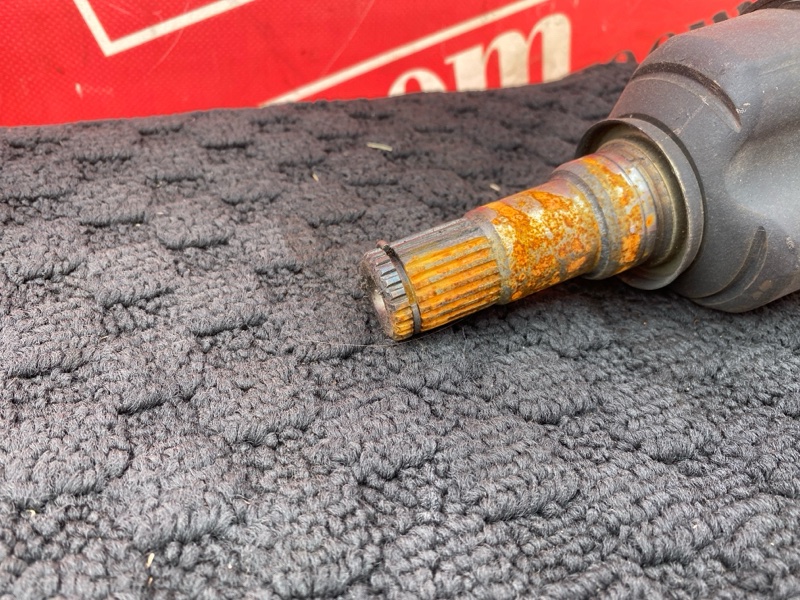 Привод, 2400 рублей, Солонцы