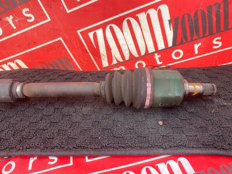 Привод, 2900 рублей, Солонцы