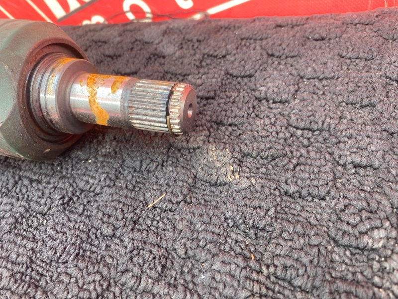 Привод, 2900 рублей, Солонцы