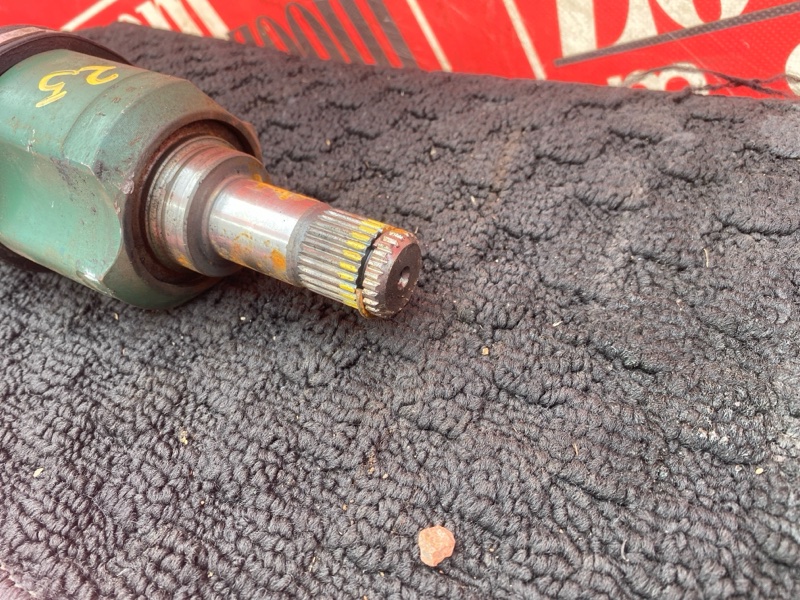 Привод, 2400 рублей, Солонцы